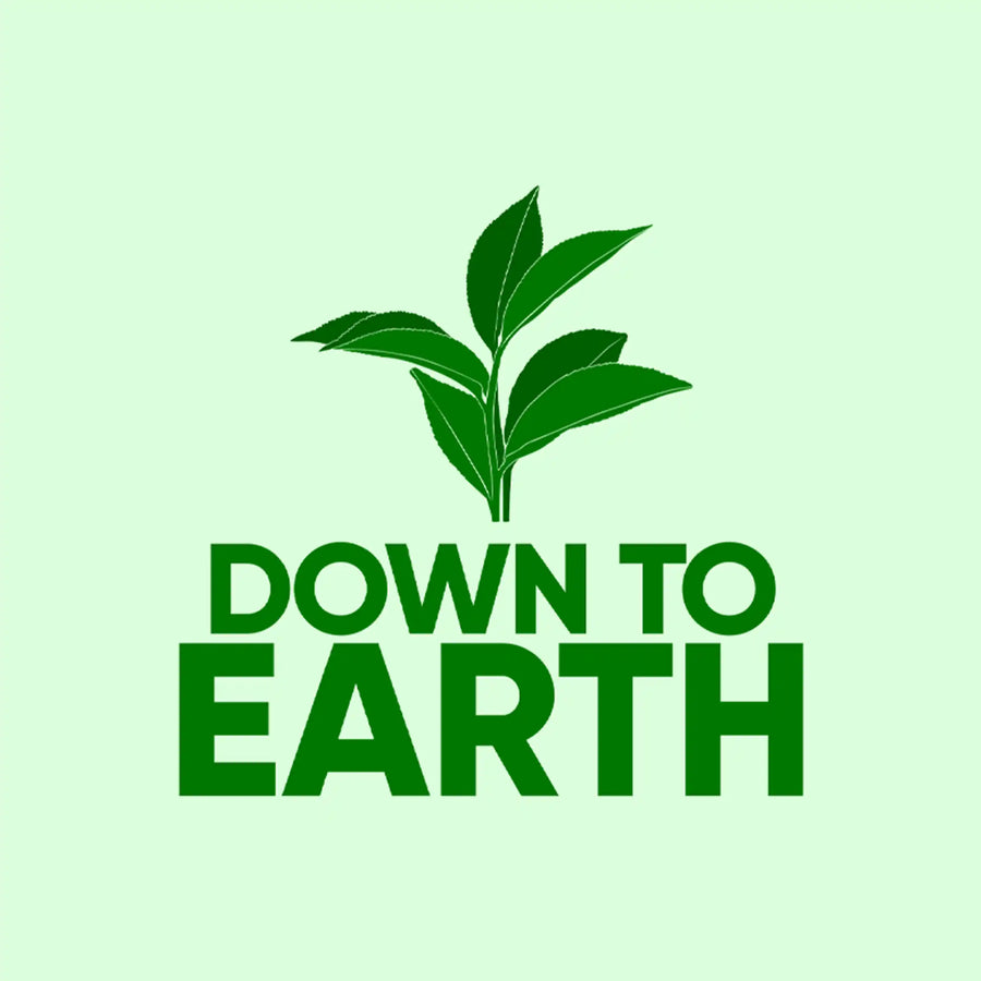 Down to Earth book cover image
