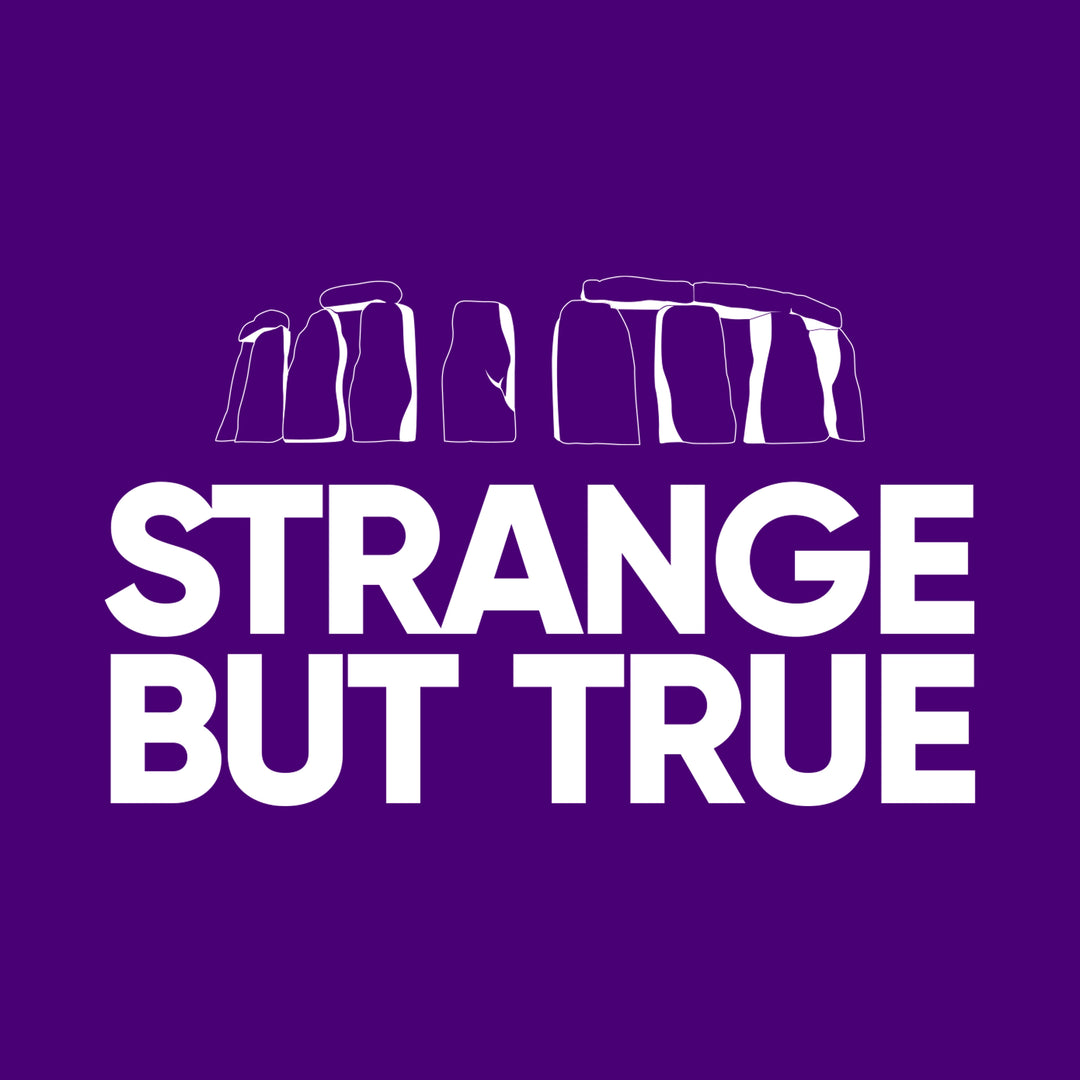 Strange but True book cover image